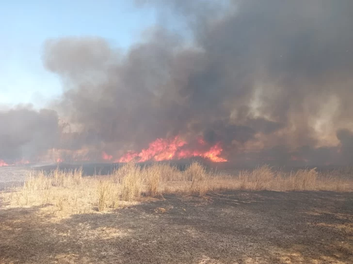 Tras 5 horas de trabajo, Bomberos controlaron un incendio y evitaron grandes daños