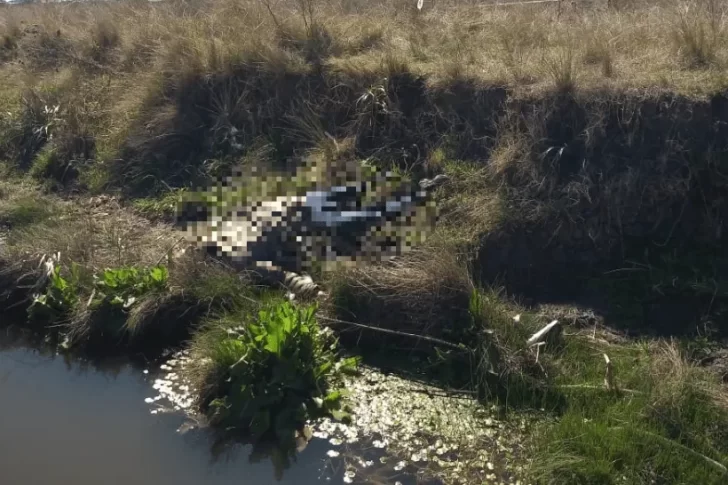 Hallan el cadáver de un hombre asesinado de 14 balazos en un descampado