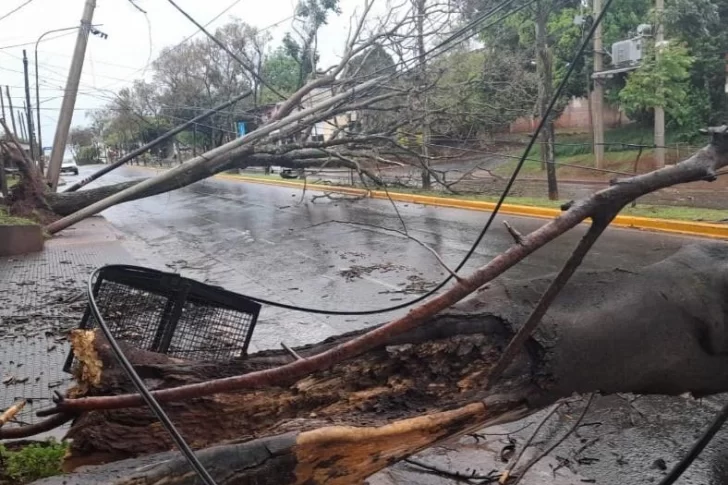 Joven murió en Misiones, sacudida por un temporal