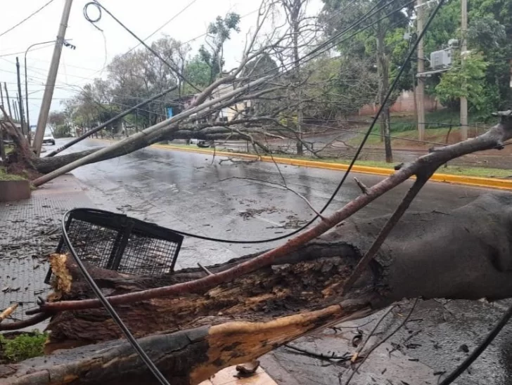 Joven murió en Misiones, sacudida por un temporal