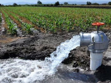 Sin ayudas, productores dicen que llegarán boletas desde $163.500