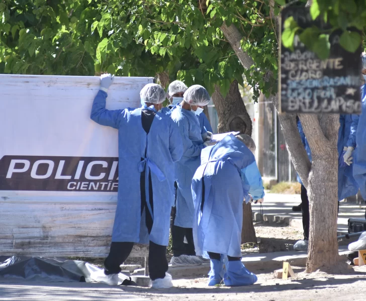 “Discutimos, me pegó y le tiré el ladrillo”