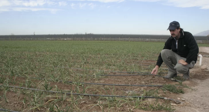 Un 2,5% de la superficie de chacras ya se quedó sin agua en las perforaciones