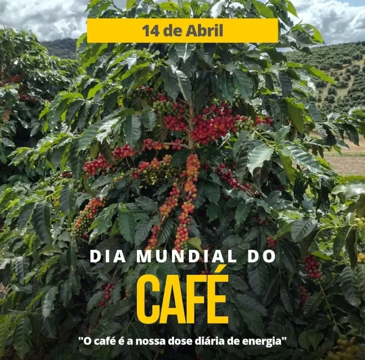 Día Internacional del Café