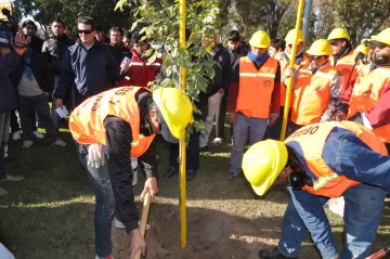 Presentaron el programa estratégico de arbolado público San Juan 2020