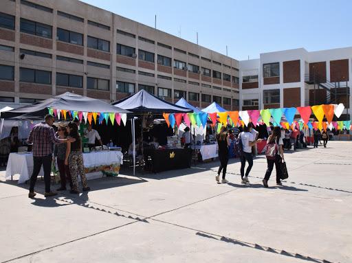 Proyectan para septiembre la feria universitaria