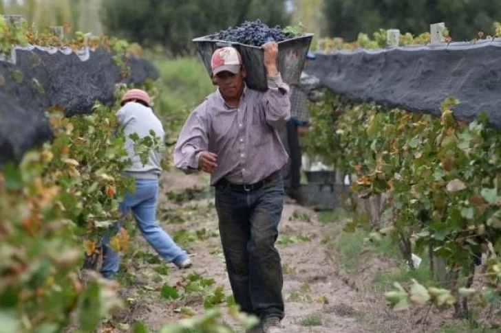 Preocupación por el pedido de quiebra de Fecovita, un gigante vitivinícola