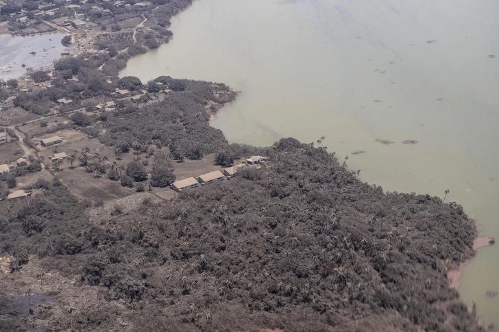 Afirman que la erupción volcánica en Tonga causó un “desastre sin precedentes”