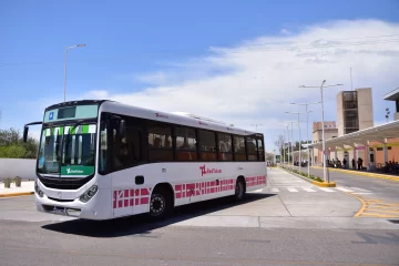 Fracasaron las negociaciones y habrá paro de colectivos por 72 horas