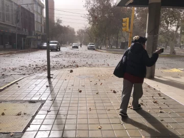 Rige un alerta por viento y la máxima llegará a los 20 grados este sábado