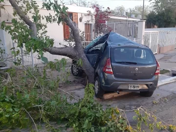 Perdió el control de su auto, impactó contra un árbol y murió en el acto