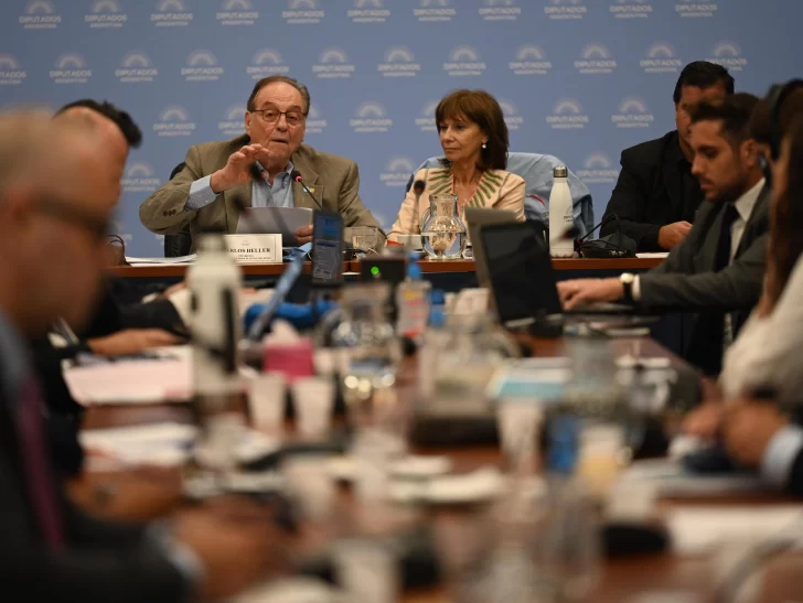 Oficialismo y oposición consensuaron un proyecto y se debate este jueves en Diputados