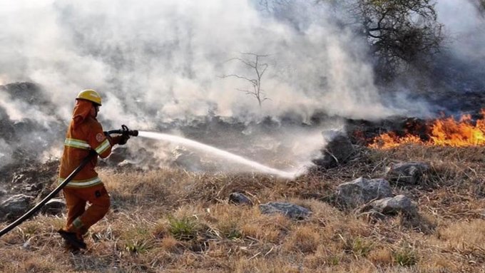 Varios focos de incendios están activos en localidades de Córdoba