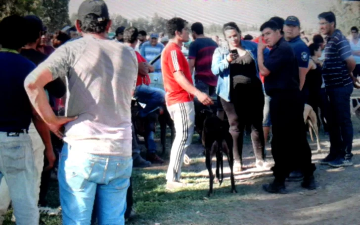 Cien perros involucrados y 250 demorados en carrera de galgos