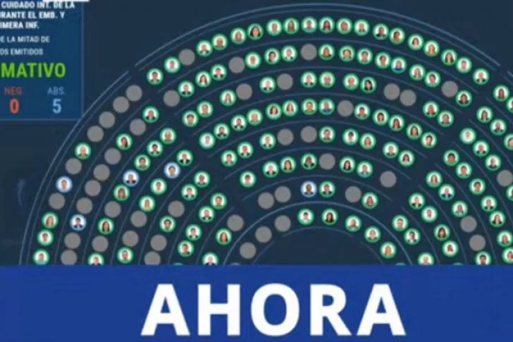 Tarjeta Alimentar, jubilaciones, asignaciones: el cronograma de pagos de ANSES en enero