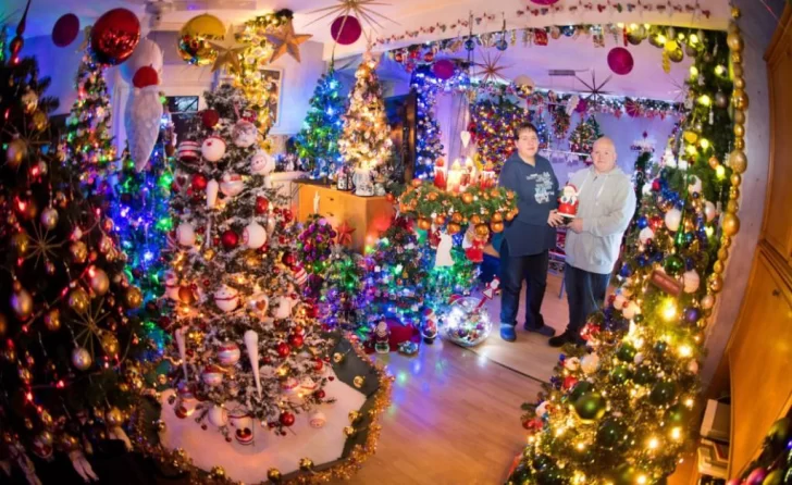 Un alemán tiene en su casa alrededor de 350 árboles de Navidad