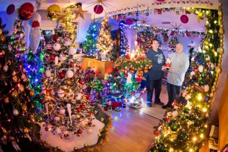 Un alemán tiene en su casa alrededor de 350 árboles de Navidad