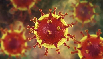 Científicos explican “una de las cosas más raras del nuevo coronavirus”