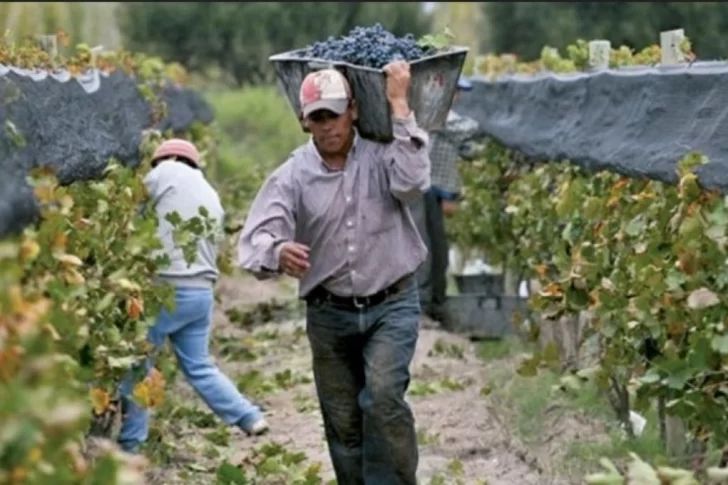 Trabajadores “golondrina” podrán mantener planes sociales cuando los empleen en blanco