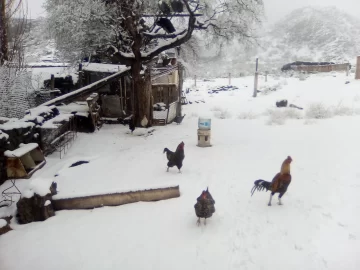 Una tenue nevada sorprendió a los jachalleros y calingastinos