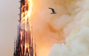 A pesar del devastador incendio en Notre Dame, aseguran que “la estructura está a salvo”