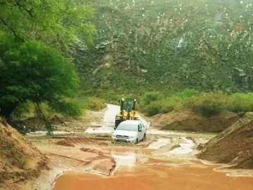 [VIDEOS] Un temporal en Jáchal afectó los cultivos en varias localidades