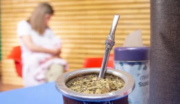 Afirman que es beneficioso consumir yerba mate durante la lactancia materna