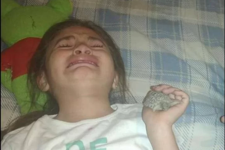 25 de Mayo: una nena no para de llorar porque le robaron su tortuga bebé
