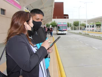 Nuevo sistema de colectivos: cómo son las estaciones de transbordo de la Red Tulum