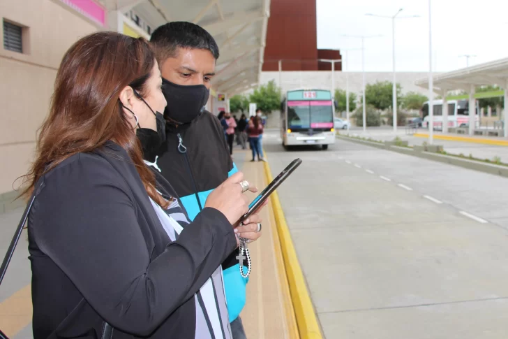 Nuevo sistema de colectivos: cómo son las estaciones de transbordo de la Red Tulum