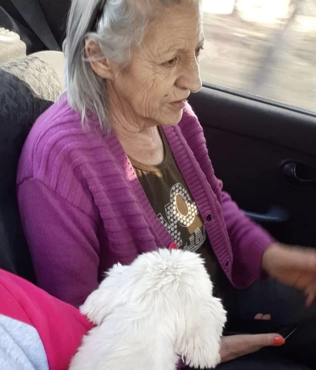 Le vacían la cuenta bancaria a la “Nona Susi”, una jubilada que rescata perros de la calle