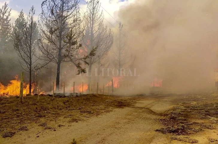 Seis turistas fueron imputados por hacer un asado que desencadenó el fuego en El Bolsón