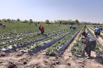 El gremio de trabajadores rurales firmó un aumento salarial del 70%