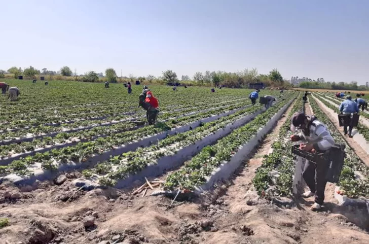 El gremio de trabajadores rurales firmó un aumento salarial del 70%