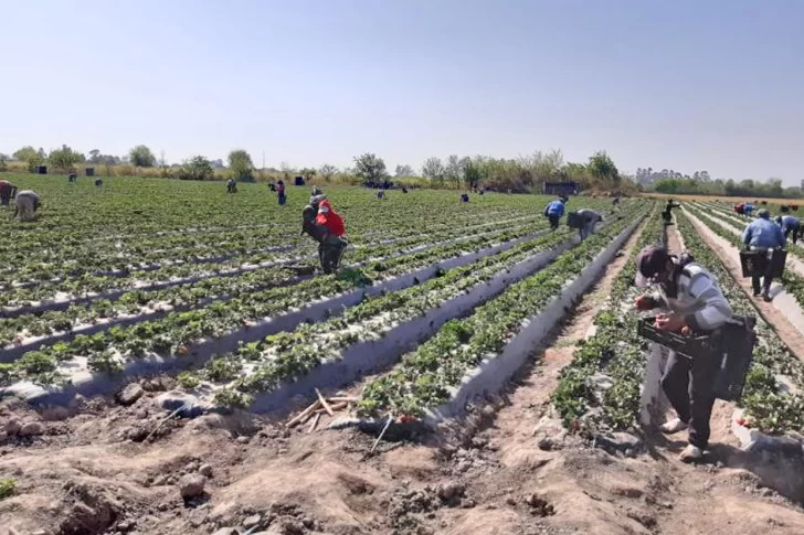 El gremio de trabajadores rurales firmó un aumento salarial del 70%