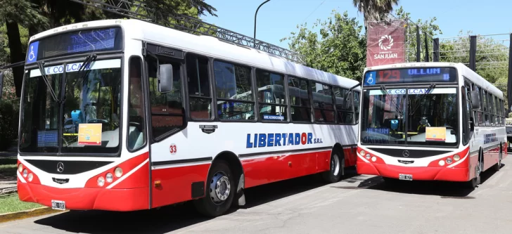 Presentaron tres nuevos colectivos adaptados para discapacitados