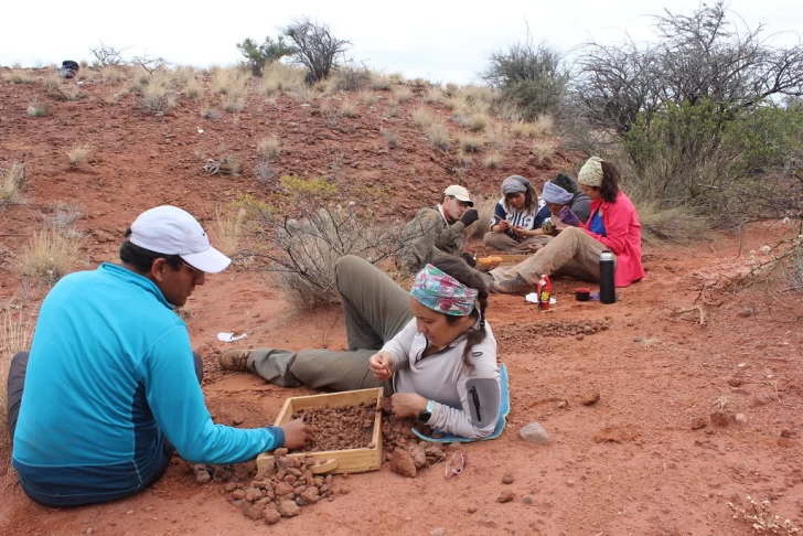 Descubren una tortuga que habitó suelo sanjuanino hace 205 millones de años