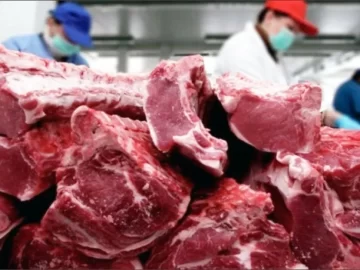 El consumo de carne se recuperó en junio y alcanzó el volumen más alto en doce meses