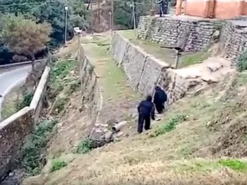 [VIDEO] Policías se disfrazan de osos para ahuyentar a monos invasores