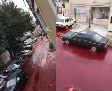 [VIDEO] Un frigorífico derramó 500 mil litros de sangre a las calles en Buenos Aires