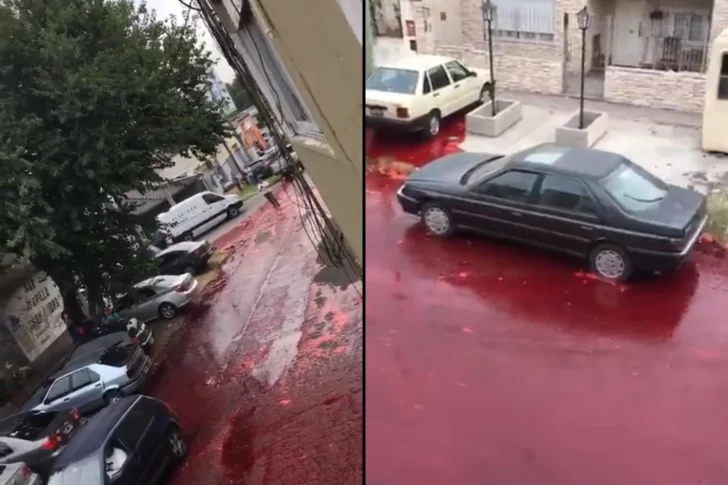 [VIDEO] Un frigorífico derramó 500 mil litros de sangre a las calles en Buenos Aires