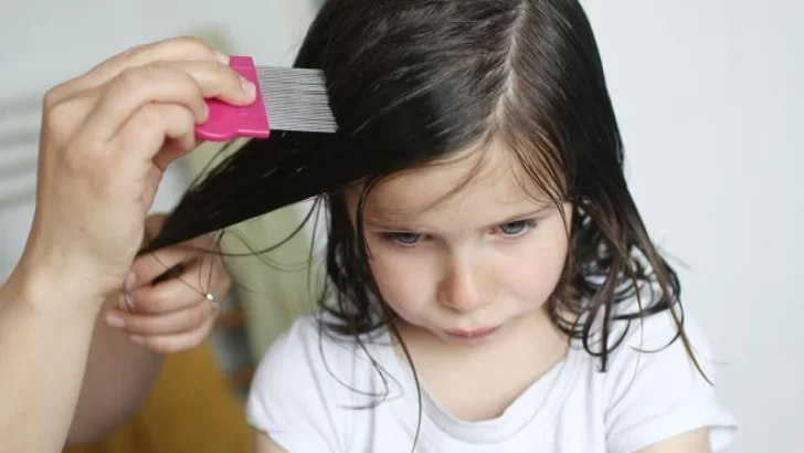 Cómo detectar y eliminar los piojos en los niños