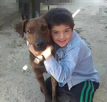Caucete: envenenaron y mataron al perro guía de un niño con Síndrome de Down