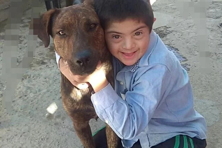 Caucete: envenenaron y mataron al perro guía de un niño con Síndrome de Down