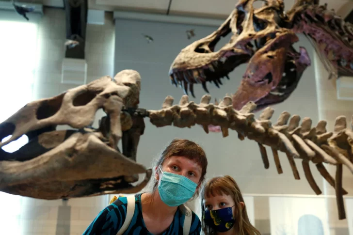 Paleontólogos creen haber hallado ADN en los restos fosilizados de un dinosaurio en China