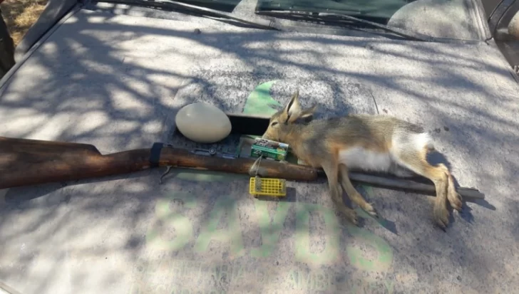 Decomisaron una liebre muerta, varias trampas y un arma destinada a la caza furtiva