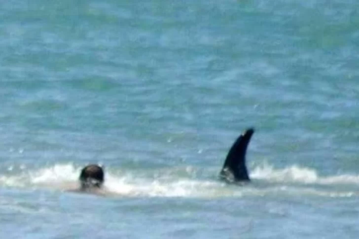 Una orca sorprendió a los bañistas de Monte Hermoso al pasar a 400 metros de la costa