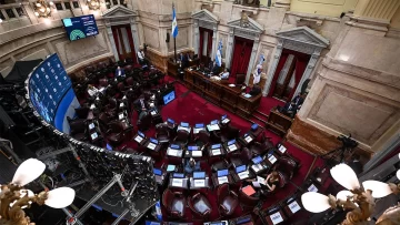 El Senado planea un tratamiento “ágil” de la legalización del aborto para votar antes de fin de año