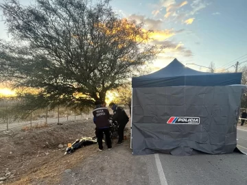 Circulaba en moto, chocó con un árbol y el fuerte impacto le provocó la muerte en el lugar