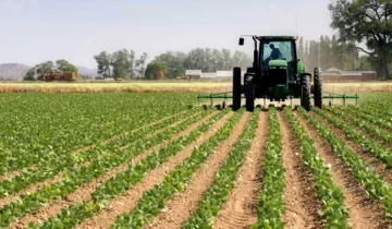 Lanzaron un crédito para tareas de cosecha e industrialización de productos agrícolas